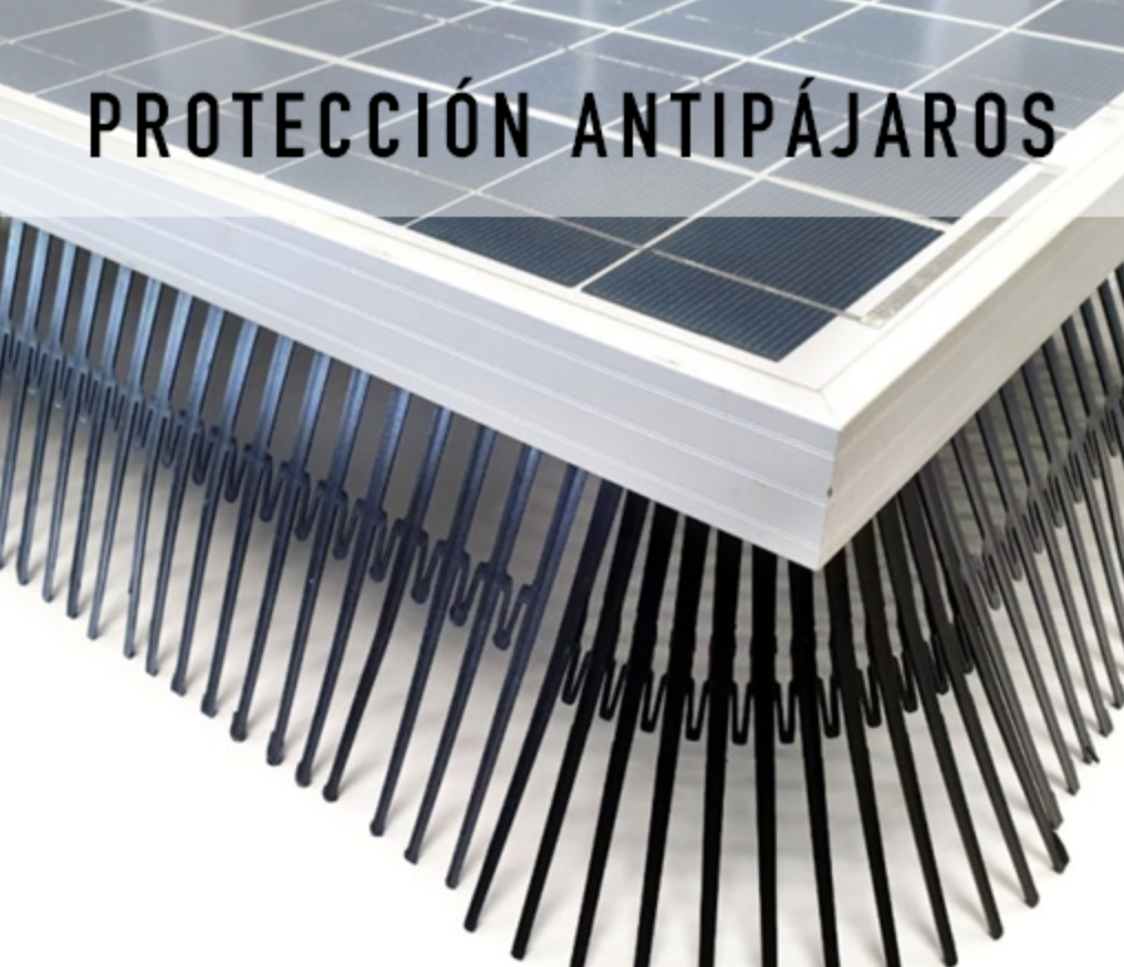 Manteniento-sistemas-fotovoltaico-contra-pajaros-zaragoza-aragon-3939